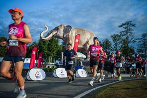 BIB: 
                            <button type="button" onclick="openModal(26541522)" class="btn btn-primary btn-sm float-right btn-popup" data-toggle="modal" data-target=".modal-high-quality">
                        <i class="fas fa-shopping-cart"></i> Add to Cart
                    </button>
                                            <button type="button" onclick="isThisMe(26541522, true)" class="btn btn-success btn-sm float-right btn-popup btn-isme hidden" data-toggle="tooltip" data-placement="bottom" title="นี่คือรูปของคุณใช่ไหม คลิกที่นี่เพื่อเอาเข้าอัลบั้ม">
                        <i class="fas fa-plus"></i> Add to album
                    </button>
                    <button type="button" onclick="isThisMe(26541522, false)" class="btn btn-warning btn-sm float-right btn-popup btn-isnotme hidden">
                        <i class="fas fa-ban"></i> Remove from album
                    </button>